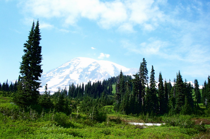 On the trail to snow